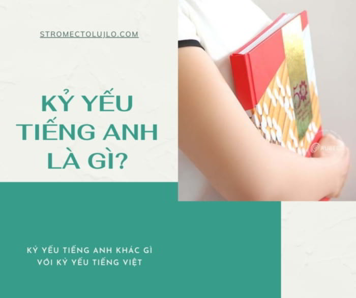 Kỷ yếu tiếng Anh là gì?